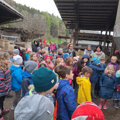 Manzenbergschule Tettnang