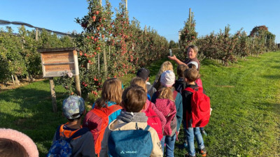 Manzenbergschule Tettnang