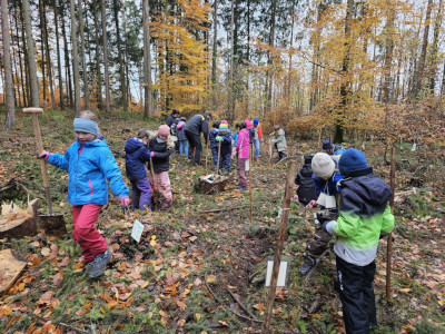 Manzenbergschule Tettnang