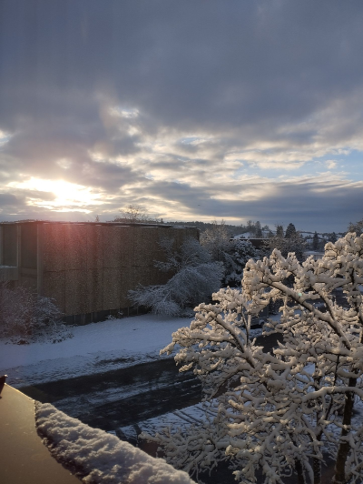 Manzenbergschule Tettnang