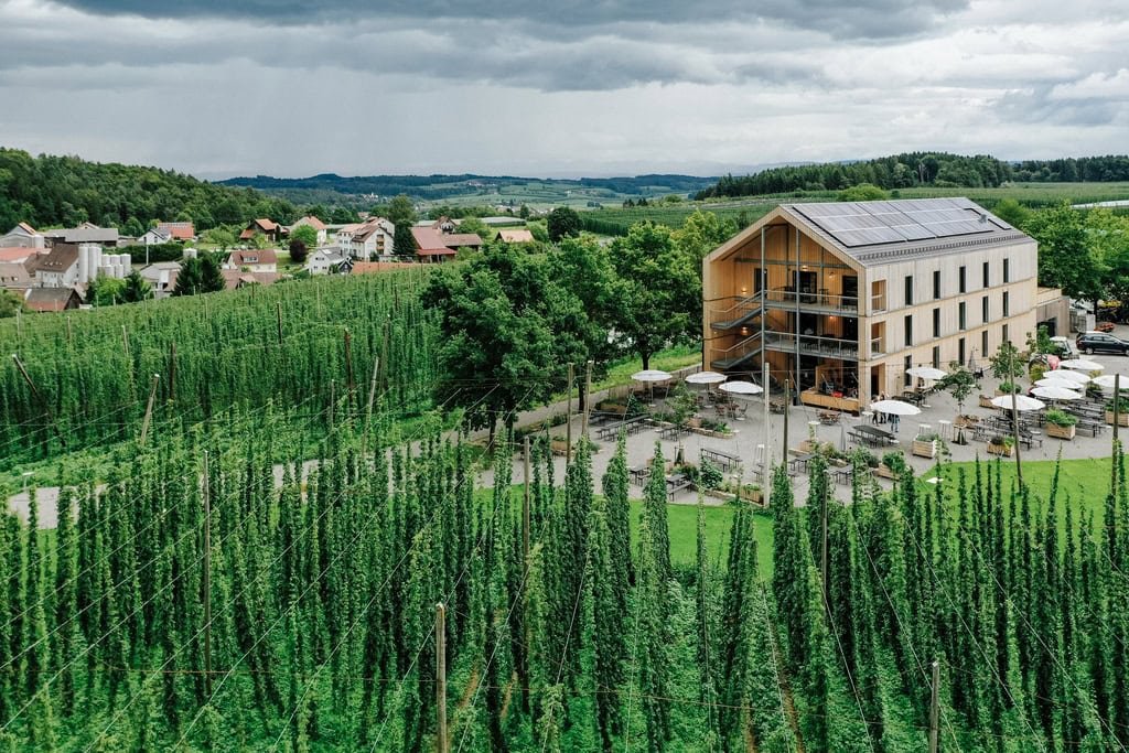Manzenbergschule Tettnang